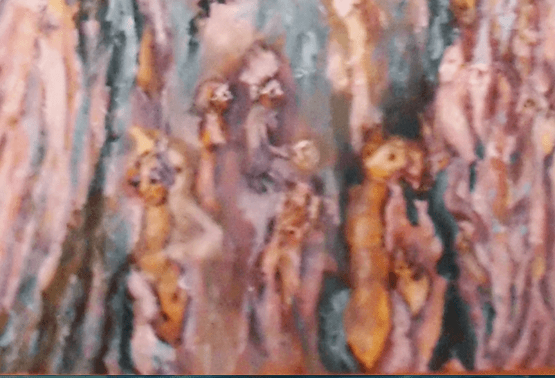 Blue Clown Tree view 4