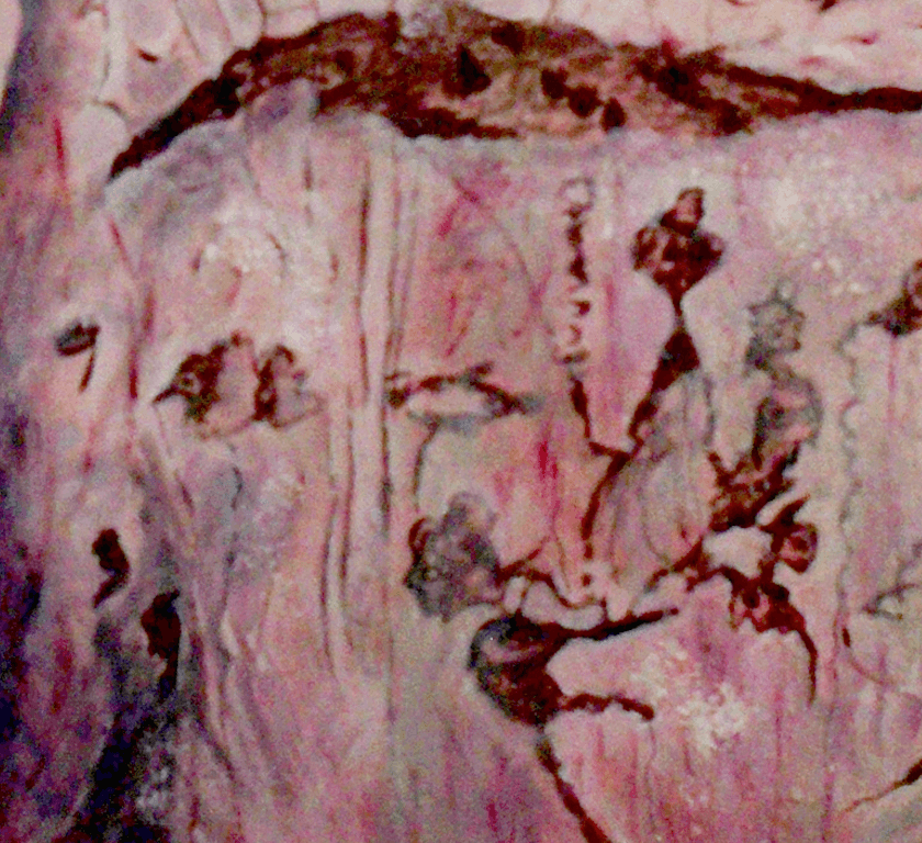 Tree Scroll 5 view 4
